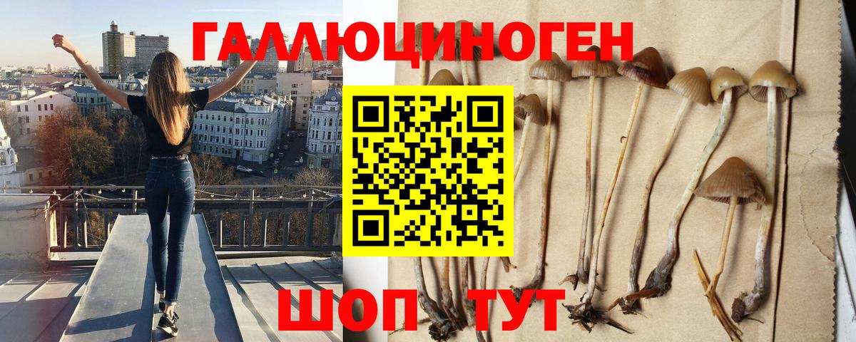 Галлюциногенные грибы Magic Shrooms Шахты